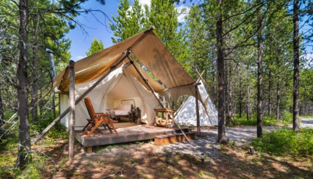 Glamping amongst the trees at Under Canvas, Glacier