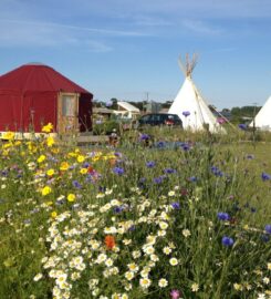 Deepdale Glamping