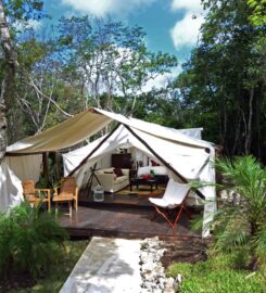 Glamping La Carlota Hotel Boutique