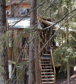 Lothlorien Woods Tree House Hide-A-Way