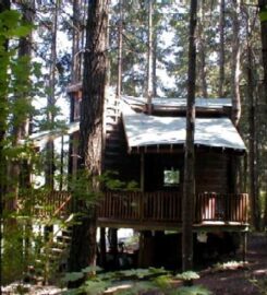 Lothlorien Woods Tree House Hide-A-Way