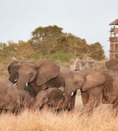 A Tent With A View Safaris