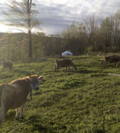 Yurts on Small VT Farm