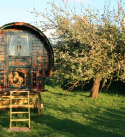 Gypsy Caravan Breaks