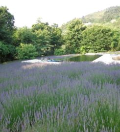 Na-Bé LavenderLodge and Spa