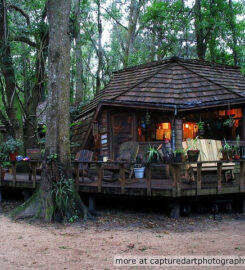 Hostel in the Forest