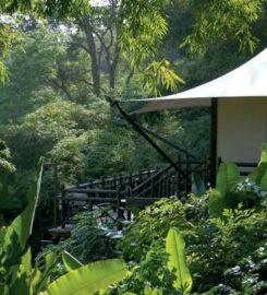 Four Seasons: Golden Triangle Tented Camp