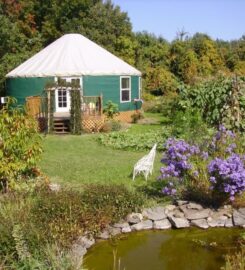 Climbing Vine Cottage