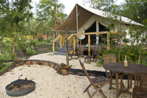 Safari tent for glamping at Coldwater Gardens