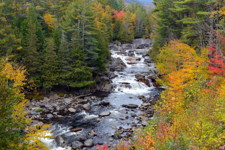 Scenic river in fall in Adirondack mountains