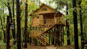 Bungalow treehouse at the Original Treehouse Cottages