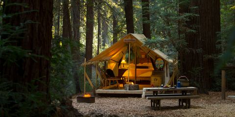 Safari glamping tent surrounded by redwood forest at Ventana Resort