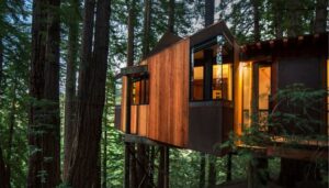 Treehouse for glamping at Post Ranch Inn