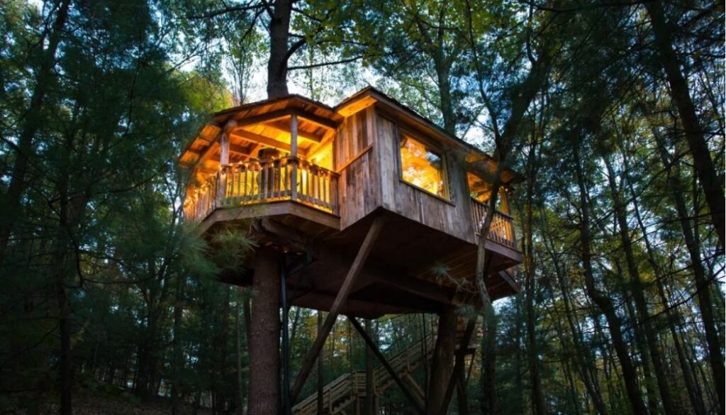 The Mohicans Treehouse Resort