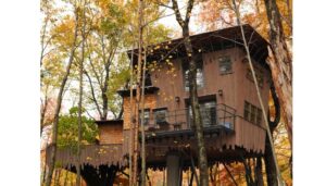 Glamping in a treehouse at Winvian Farm