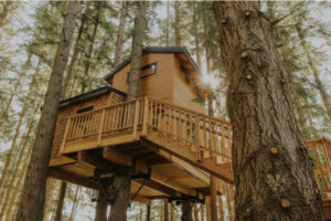 Treehouse for glamping at Treehouse Whidbey