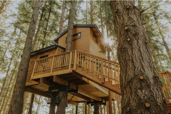 Treehouse for glamping at Treehouse Whidbey