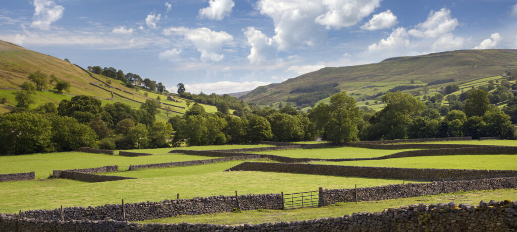 Countryside and stone walls in the Yorkshire Dales