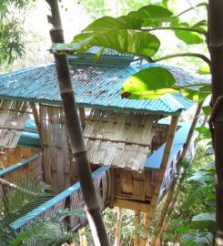 Tropical Treehouse