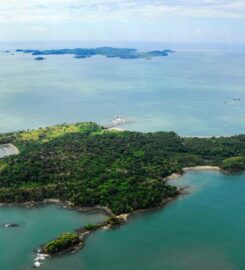Isla Palenque