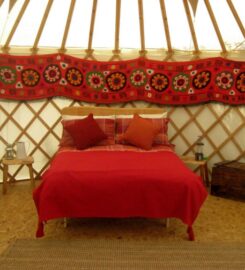 Florence Springs Yurts