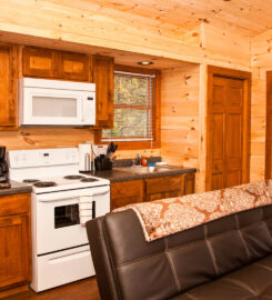 Shawnee Forest Cabins