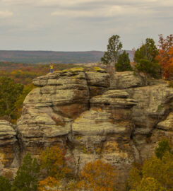 Shawnee Forest Cabins