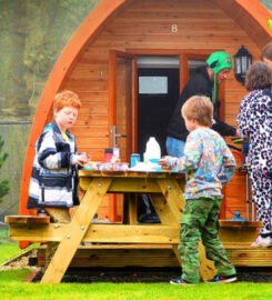 Falcon Forest Glamping