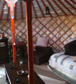 Grey Willow Yurts