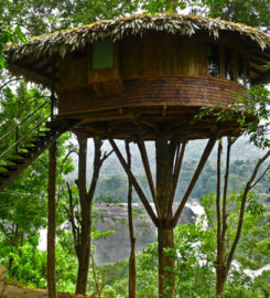 Rainforest Athirapally Treehouse