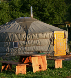 Blackdown Yurts
